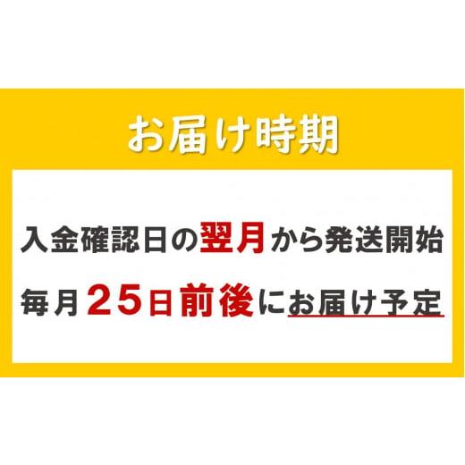 ふるさと納税 長野県 富士見町 【 定期便 11ヶ月 】 カゴメ 野菜一日これ一本 200ml×48本入 一日分の野菜 1日分の野菜 野菜100％ 紙パック 野菜ジュース 飲料…｜furusatochoice｜09