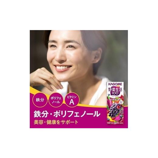ふるさと納税 果汁飲料 ブルーベリー 長野県 富士見町  定期便 2ヶ月 カゴメ 野菜生活100 ベリーサラダ 200ml×48本 ジュース 野菜 果実ミックスジュース 果汁…の画像
