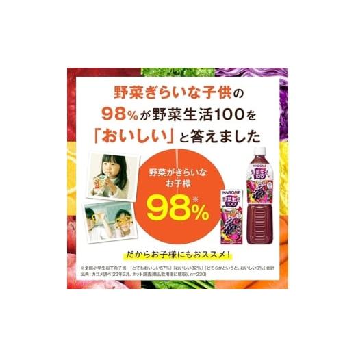 ふるさと納税 果汁飲料 ブルーベリー 長野県 富士見町  定期便 2ヶ月 カゴメ 野菜生活100 ベリーサラダ 200ml×48本 ジュース 野菜 果実ミックスジュース 果汁…の画像