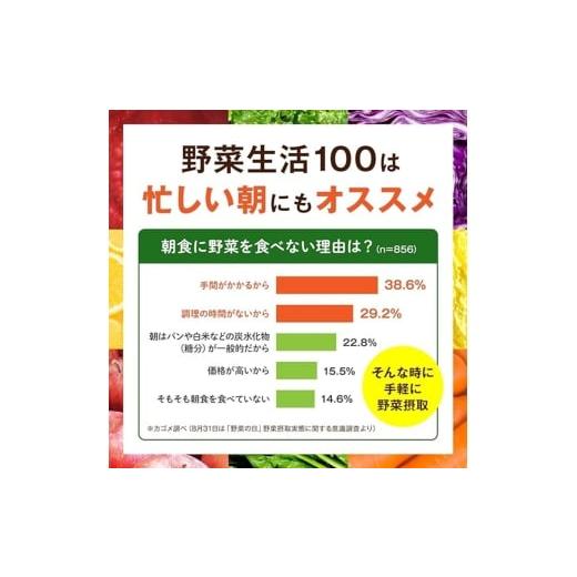ふるさと納税 果汁飲料 ブルーベリー 長野県 富士見町  定期便 2ヶ月 カゴメ 野菜生活100 ベリーサラダ 200ml×48本 ジュース 野菜 果実ミックスジュース 果汁…の画像