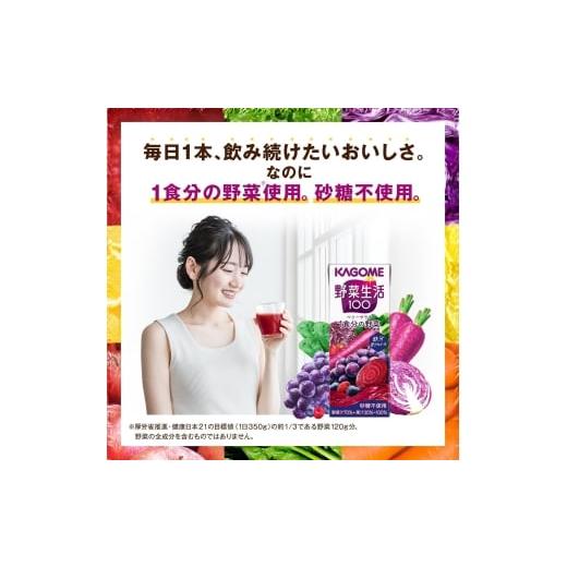 ふるさと納税 果汁飲料 ブルーベリー 長野県 富士見町  定期便 2ヶ月 カゴメ 野菜生活100 ベリーサラダ 200ml×48本 ジュース 野菜 果実ミックスジュース 果汁…の画像