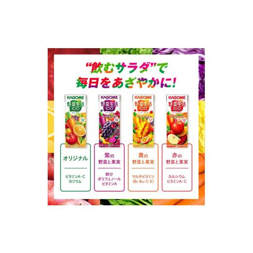 ふるさと納税 果汁飲料 やさい 長野県 富士見町  定期便 2ヶ月 カゴメ 野菜生活100 オリジナル 200ml 48本×2回 野菜ジュース 紙パック 定期便 1食分の野菜 砂…の画像