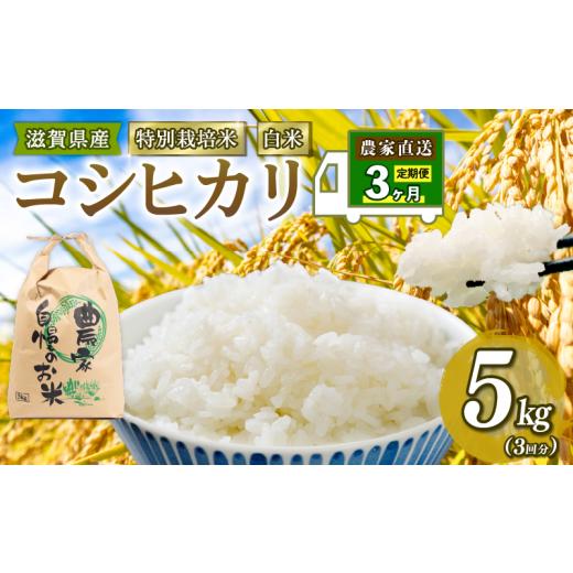 ふるさと納税 滋賀県 竜王町 こしひかり 米 5kg 白米 定期便 3ヶ月 コシヒカリ 定期 3か月 2023年産 滋賀県 竜王町 令和5年産 国産 農家直送 特別栽培米 コシ…