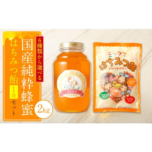 ふるさと納税 熊本県 八代市 国産 純粋 晩白柚蜂蜜 2kg 蜂蜜あめ 1袋 はちみつ 晩白柚蜂蜜