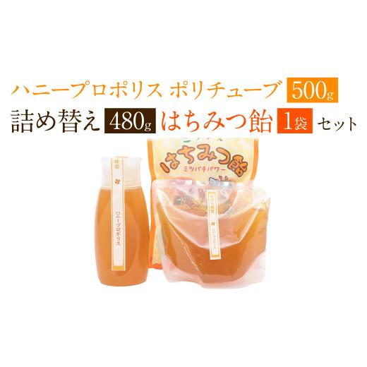 ふるさと納税 加工品等 はちみつ 熊本県 八代市 ハニープロポリスポリチューブ ＆ 詰め替えセット 蜂蜜 あめ 1袋_1