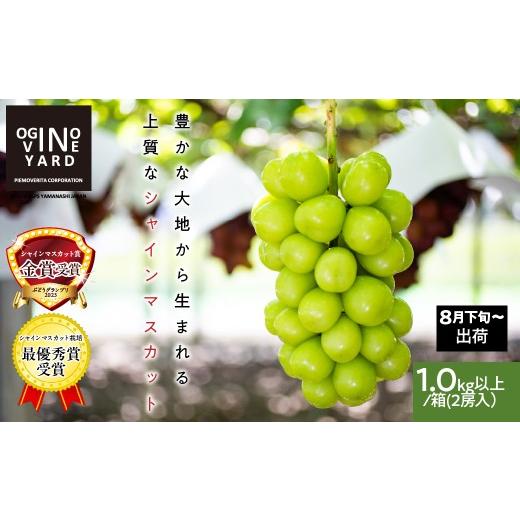 ふるさと納税 ぶどう マスカット 山梨県 南アルプス市 テレビで紹介されました 2026年先行予約_8月下旬〜発送 山梨県産シャインマスカット 1.0kg以上/箱…