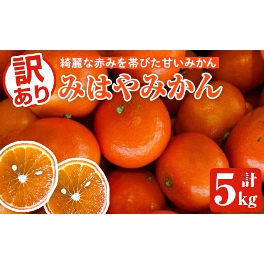 ふるさと納税 果物類 みかん 鹿児島県 阿久根市 先行予約受付中 2025年12月中旬以降順次発送予定 訳ありみはやみかん(計5kg) 国産 フルーツ 果物 蜜柑 柑橘 …