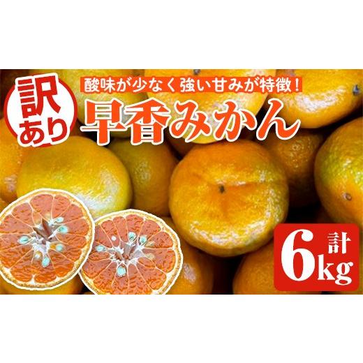 ふるさと納税 果物類 みかん 鹿児島県 阿久根市 先行予約受付中 2025年12月下旬以降順次発送予定 訳あり早香みかん(計6kg) 国産 フルーツ 果物 蜜柑 柑橘 み…