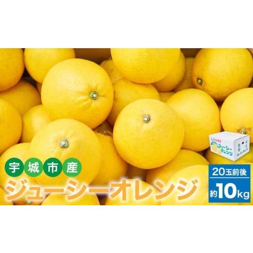 ふるさと納税 果物類 みかん 熊本県 宇城市 先行予約 ジューシーオレンジ 約10kg(20玉前後) 2026年4月上旬~2026年5月下旬頃発送予定 河内晩柑 オレンジ 蜜柑…