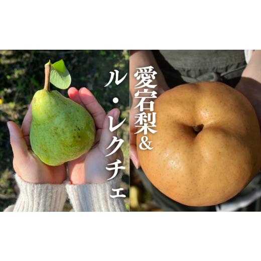 ふるさと納税 梨 岡山県 真庭市 きよとうファーム あたご梨&ル・レクチェ ご家庭用 5-7玉 (岡山県産) / あたご梨 愛宕梨 梨 ご家庭用 果物 くだもの フルー…