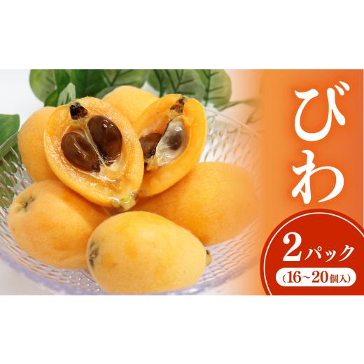 ふるさと納税 果物類 びわ 高知県 室戸市 黒耳びわ 16〜20玉(小粒・中粒)