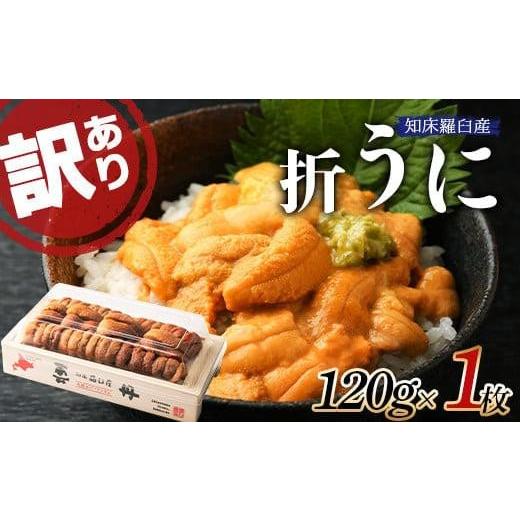 ふるさと納税 北海道 羅臼町 訳あり 折うに(中) 1枚 北海道 知床 羅臼 天然 エゾバフン ウニ 雲丹 海鮮 魚介