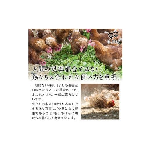 ふるさと納税 京都府 綾部市 平飼いたまご 24個×月2回×12ヶ月 【 卵定期便 たまご定期便 平飼い卵 非遺伝子組み換え 自家配合 たまご タマゴ 平飼い 卵 国産…｜furusatochoice｜04