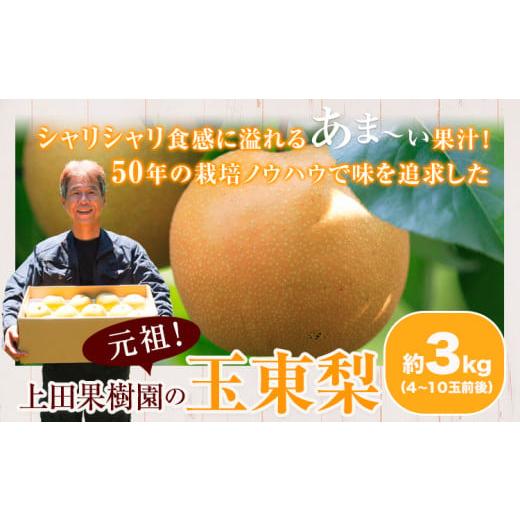 ふるさと納税 梨 熊本県 玉東町 上田果樹園の元祖 玉東梨(旬の品種をお届けします)約3kg(4玉-10玉) [7月下旬-9月下旬頃出荷] 熊本県玉名郡玉東町 なし 果物 …