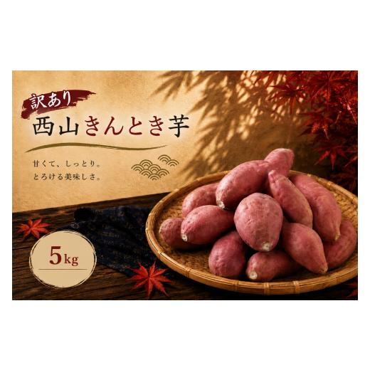 ふるさと納税 野菜類 サツマイモ 高知県 室戸市 西山きんとき芋 5kg | 訳あり 新芋 さつまいも サツマイモ さつま芋 焼き芋 やきいも ヤキイモ 人気 野菜 不揃…