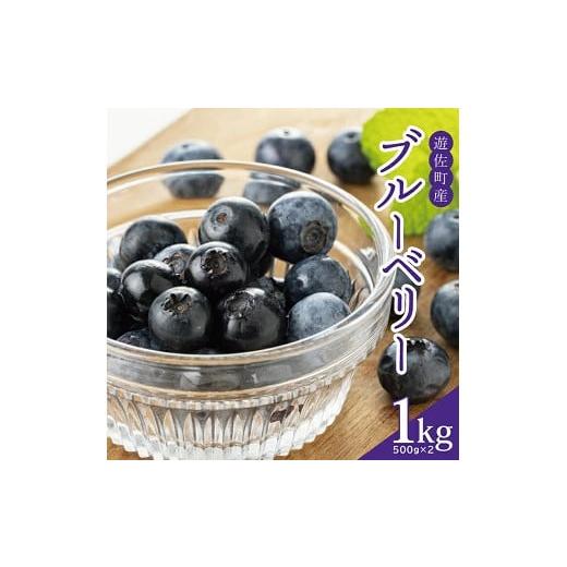 ふるさと納税 果物類 山形県 遊佐町 大粒ブルーベリー 500g×2パック 計1kg 化粧箱入 6月下旬〜7月上旬頃お届け 山形県遊佐産 冷蔵便 着日指定・離島発送不可 …