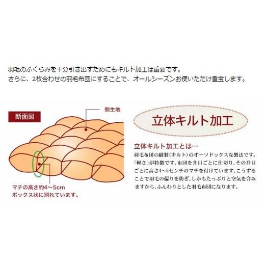 ふるさと納税 タオル・寝具 掛け布団 三重県 松阪市 ザ・羽毛布団 プレミアムゴールドラベル セミダブル 170×210cmポーランド産グース93％ 2枚合わせ 日本羽…の画像