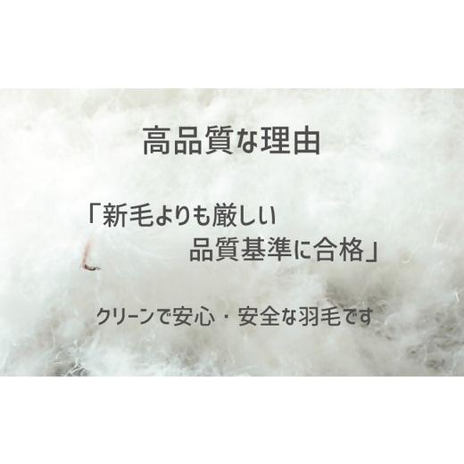 ふるさと納税 タオル・寝具 掛け布団 三重県 松阪市 ザ・羽毛布団 リサイクルダウン ロイヤルグリーン キング 230×210cm リサイクルホワイトダックダウン70％…
