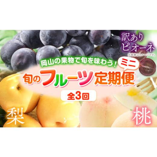 ふるさと納税 岡山県 矢掛町 240.[先行予約] 旬の フルーツ 定期便 ミニ 全3回 桃 約1kg(3〜5玉前後) ピオーネ 1房 (約650g) 梨 約4kg (3〜8玉前後) [2024…