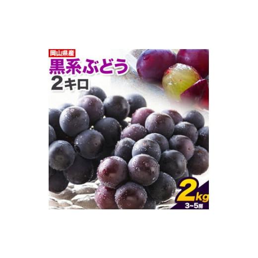 ふるさと納税 岡山県 浅口市 [先行予約]黒系ぶどう 2kg ピオーネ オーロラブラック 岡山県産 3房 ~ 5房[9月上旬-9月末頃出荷]ひらた農園 黒系ぶどう 送料…