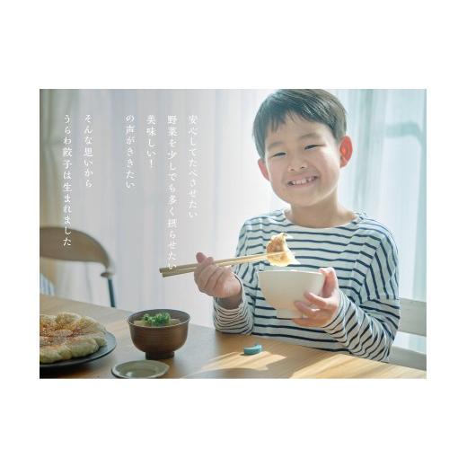 ふるさと納税 惣菜・レトルト 冷凍 埼玉県 さいたま市 うらわ餃子　レギュラー・しそ・旨辛各20個セット　 11100-0732_3