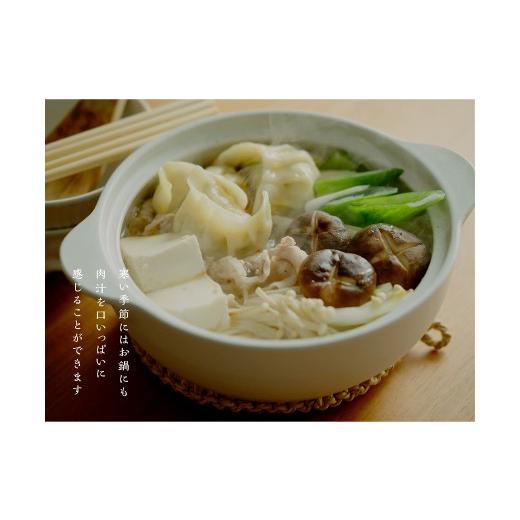 ふるさと納税 惣菜・レトルト 冷凍 埼玉県 さいたま市 うらわ餃子　レギュラー・しそ・旨辛各20個セット　 11100-0732_5