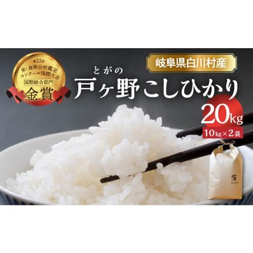 ふるさと納税 岐阜県 白川村 [令和6年産 先行予約]コシヒカリ 20kg (10kg ×2袋) 32000円 [2024年11月下旬〜以降順次発送] [S747]