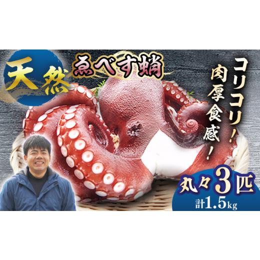 ふるさと納税 タコ 長崎県 西海市 数量限定 天然タコ ゑべす蛸 3匹(計1.5kg) 大瀬戸町漁協 CAR007 長崎 西海 たこ 天然タコ 海鮮 海の幸 お取り寄せタコ 海…