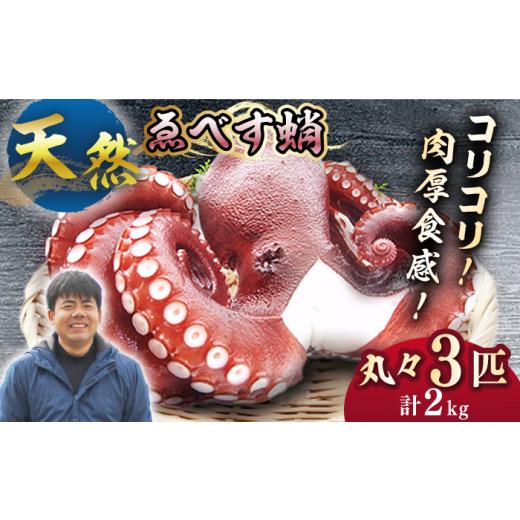 ふるさと納税 タコ 長崎県 西海市 数量限定 天然 タコ ゑべす蛸 3匹(計2kg) 大瀬戸町漁協 CAR008 長崎 西海 たこ 天然タコ 海鮮 海の幸 お取り寄せタコ 海…