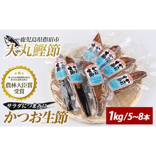 ふるさと納税 乾物 削り節・鰹節 鹿児島県 指宿市 生節(かつおなまり節