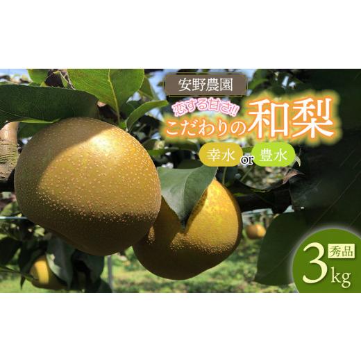 ふるさと納税 梨 山形県 鶴岡市 令和8年産先行予約 「恋する甘さ 」こだわりの和梨 幸水か豊水 秀品3kg(5〜10玉) 山形県鶴岡産 安野農園