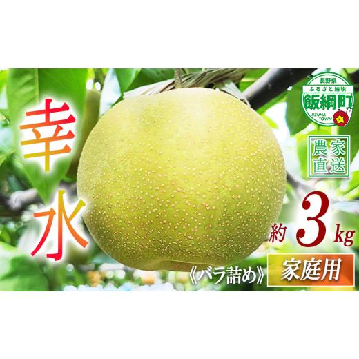 ふるさと納税 梨 長野県 飯綱町 梨 幸水 家庭用 3g ( バラ詰め ) 松澤農園 配送先は本州限定 2026年8月下旬頃から2026年9月上旬頃まで順次発送予定 令和8年度…