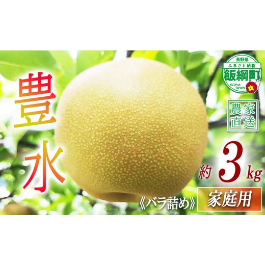 ふるさと納税 梨 長野県 飯綱町 梨 豊水 家庭用 3kg ( バラ詰め ) 松澤農園 配送先は本州限定 2026年9月中旬頃から2026年9月下旬頃まで順次発送予定 令和8年度…