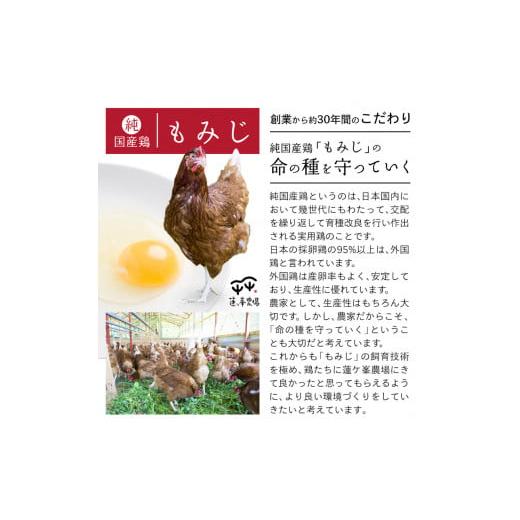 ふるさと納税 京都府 綾部市 【定期便12ヶ月】平飼いたまご 24個×12ヶ月間 【 卵定期便 たまご定期便 平飼い卵 非遺伝子組み換え 自家配合 たまご タマゴ 平…｜furusatochoice｜03