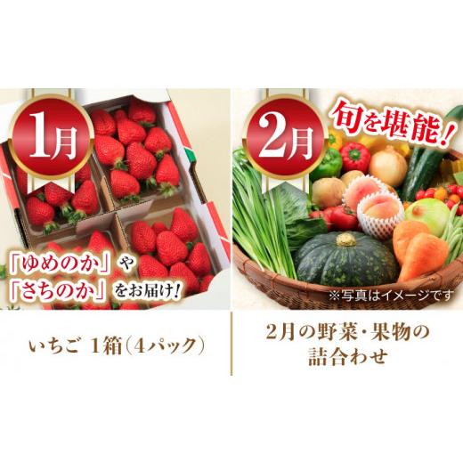ふるさと納税 セット・詰合せ 長崎県 大村市  12回定期便 グルっと1年分 おおむら定期便（ 米 イチゴ 野菜 果物 トマト ジュレ ハム ジュース 和牛 ぶどう ジ…_6