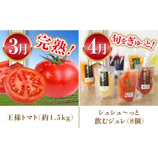 ふるさと納税 セット・詰合せ 長崎県 大村市  12回定期便 グルっと1年分 おおむら定期便（ 米 イチゴ 野菜 果物 トマト ジュレ ハム ジュース 和牛 ぶどう ジ…_7
