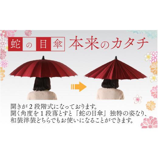 ふるさと納税 ファッション 福井県 福井市 蛇の目洋傘　雨傘(親骨55cm)　カラー10色 K-035003_08 金茶色の画像