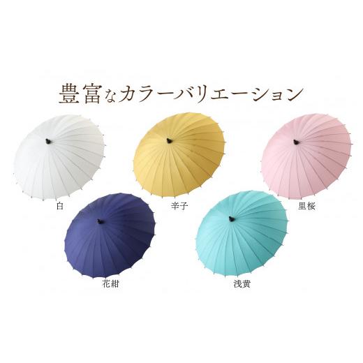 ふるさと納税 ファッション 福井県 福井市 蛇の目洋傘　雨傘(親骨60cm)　カラー10色 N-035008_03 里桜色の画像