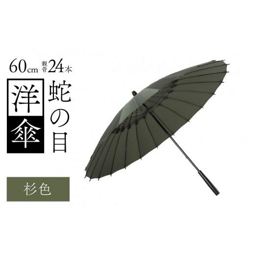 ふるさと納税 ファッション 福井県 福井市 蛇の目洋傘　雨傘(親骨60cm)　カラー10色 N-035008_06 杉色の画像