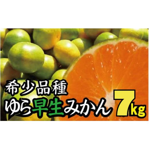 ふるさと納税 和歌山県 すさみ町 [2024年秋頃発送予約分][農家直送]濃厚な味わい希少品種ゆら早生みかん約7kg 希少品種[有機質肥料100%] サイズ混合…