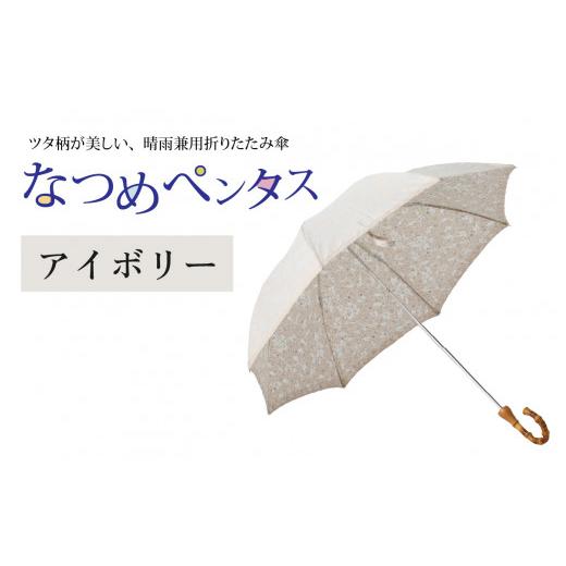 ふるさと納税 ファッション 福井県 福井市 なつめペンタス　晴雨兼用折りたたみ傘　カラー8色 J-035007_01 アイボリーの画像