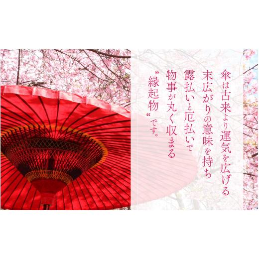 ふるさと納税 ファッション 福井県 福井市 なつめペンタス　晴雨兼用折りたたみ傘　カラー8色 J-035007_04 ベージュの画像