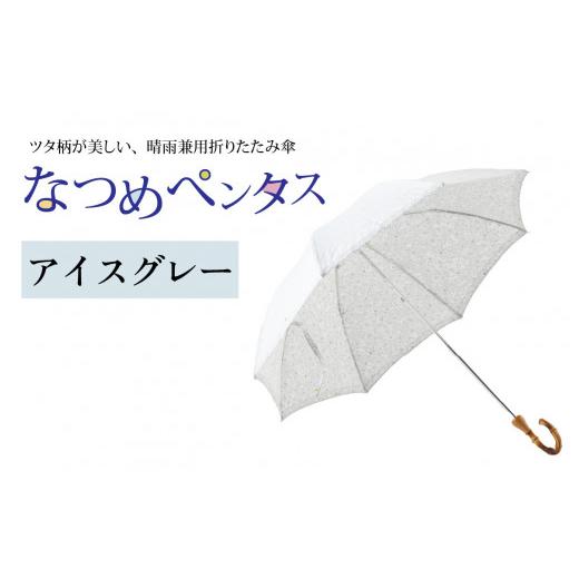 ふるさと納税 ファッション 福井県 福井市 なつめペンタス　晴雨兼用折りたたみ傘　カラー8色 J-035007_07 アイスグレーの画像