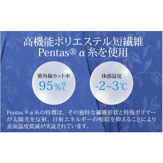 ふるさと納税 ファッション 福井県 福井市 なつめペンタス　晴雨兼用折りたたみ傘　カラー8色 J-035007_07 アイスグレーの画像