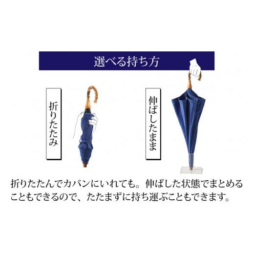 ふるさと納税 ファッション 福井県 福井市 なつめペンタス　晴雨兼用折りたたみ傘　カラー8色 J-035007_07 アイスグレーの画像