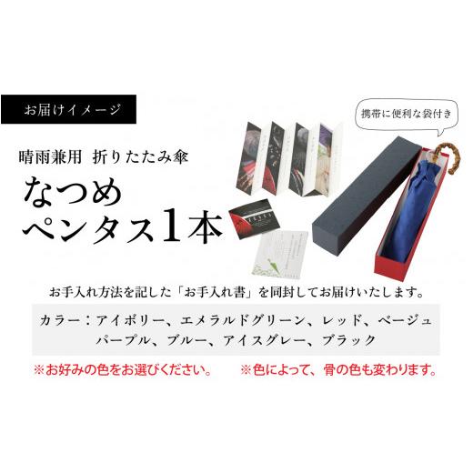 ふるさと納税 ファッション 福井県 福井市 なつめペンタス　晴雨兼用折りたたみ傘　カラー8色 J-035007_07 アイスグレーの画像
