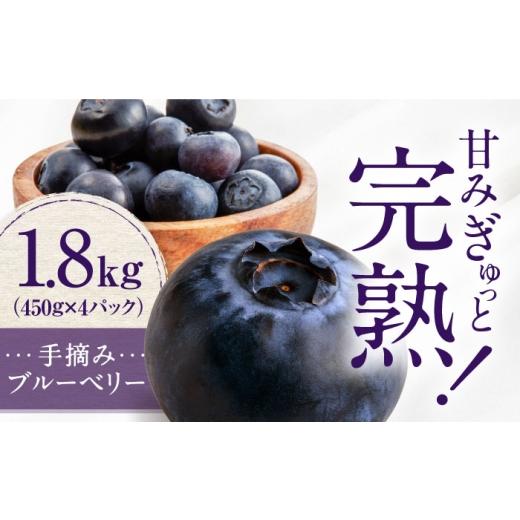ふるさと納税 果物類 愛媛県 内子町 先行予約 手摘み ブルーベリー 詰め合わせ 450g×4パック 2026年7月下旬より発送 / ブルーベリー 果物 フルーツ ベリー …