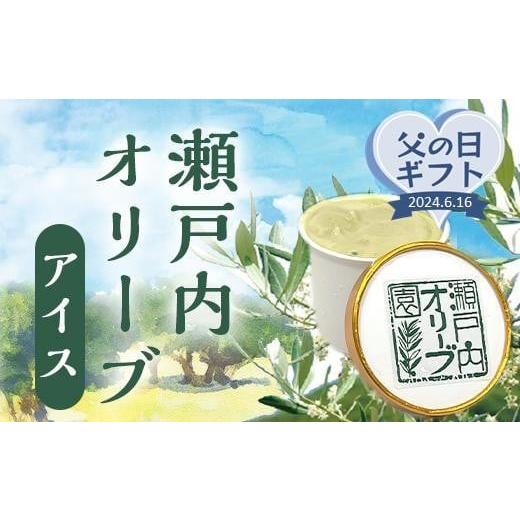 ふるさと納税 香川県 坂出市 [父の日ギフト]瀬戸内オリーブアイス 8個入り(125ml×8個)|アイス 菓子 おかし スイーツ デザート 食品 人気 おすすめ 送料…