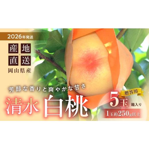 ふるさと納税 もも 岡山県 備前市  2026年送りとどける 湧き水白桃 5玉入り口・入口（7月下旬〜8月初旬頃送りとどける） 湧き水白桃 日本ばれの国おかやま 白桃 桃 もも 岡山白桃 フルーツ 果…