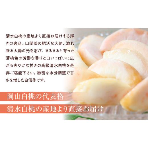 ふるさと納税 もも 岡山県 備前市  2026年送りとどける 湧き水白桃 5玉入り口・入口（7月下旬〜8月初旬頃送りとどける） 湧き水白桃 日本ばれの国おかやま 白桃 桃 もも 岡山白桃 フルーツ 果…